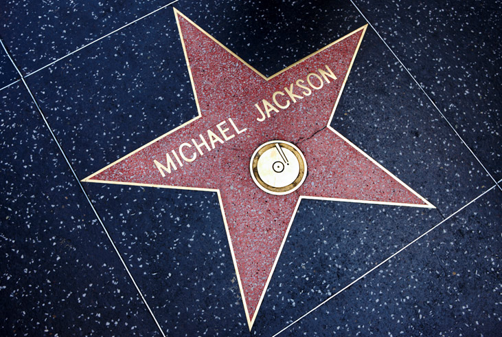 Celebrate your favorite celebrities along the Hollywood Walk of Fame.